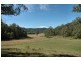 Laguna NSW 2325