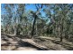Laguna NSW 2325