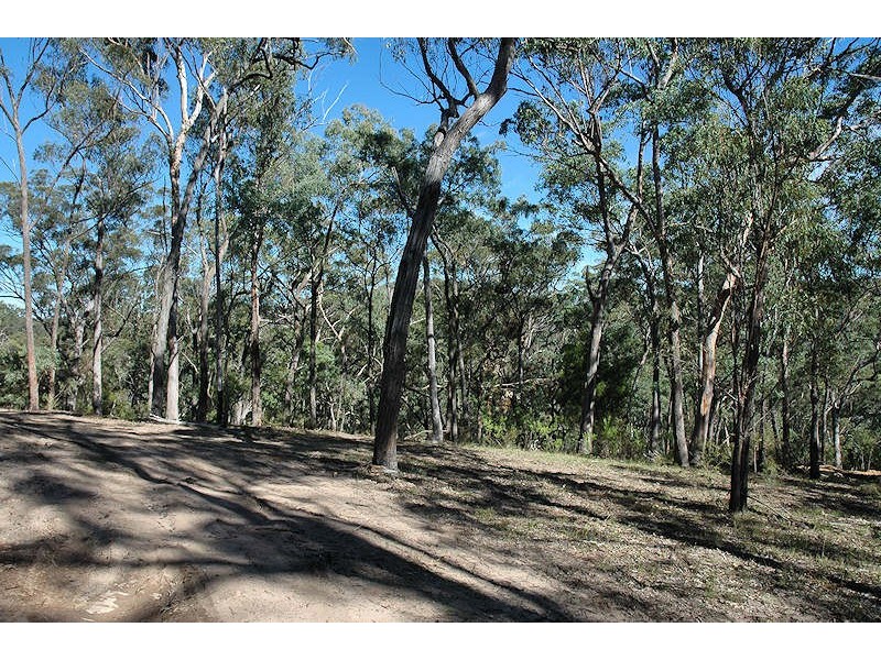 Laguna NSW 2325