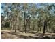 Laguna NSW 2325