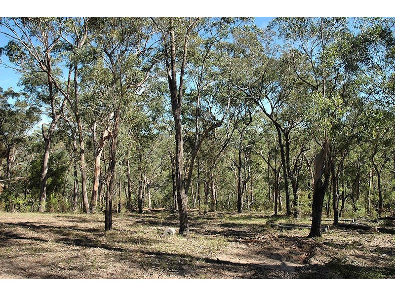 Laguna NSW 2325
