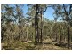 Laguna NSW 2325