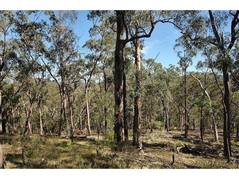 Laguna NSW 2325