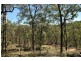 Laguna NSW 2325
