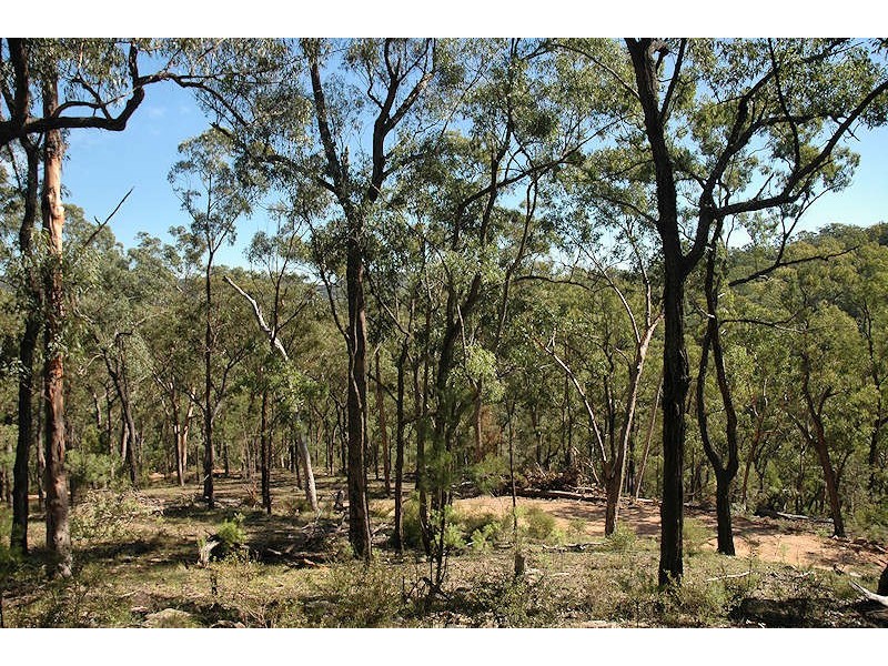 Laguna NSW 2325