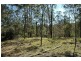 Laguna NSW 2325
