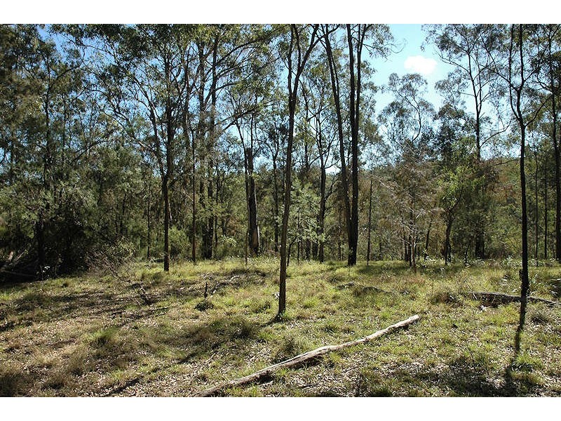 Laguna NSW 2325