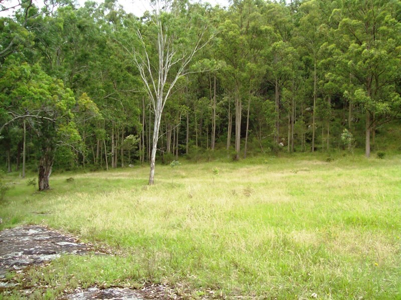 Wollombi NSW 2325