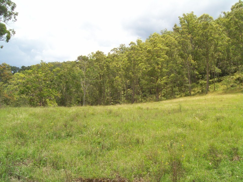 Wollombi NSW 2325