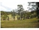 Wollombi NSW 2325