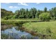 146 Yango Creek Rd, Wollombi NSW 2325