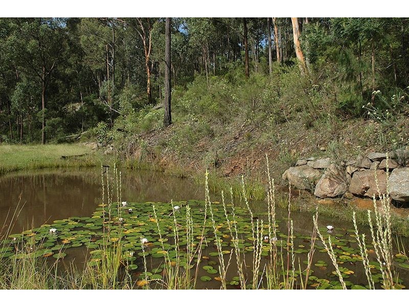 127 Bulls Run Road, Wollombi NSW 2325