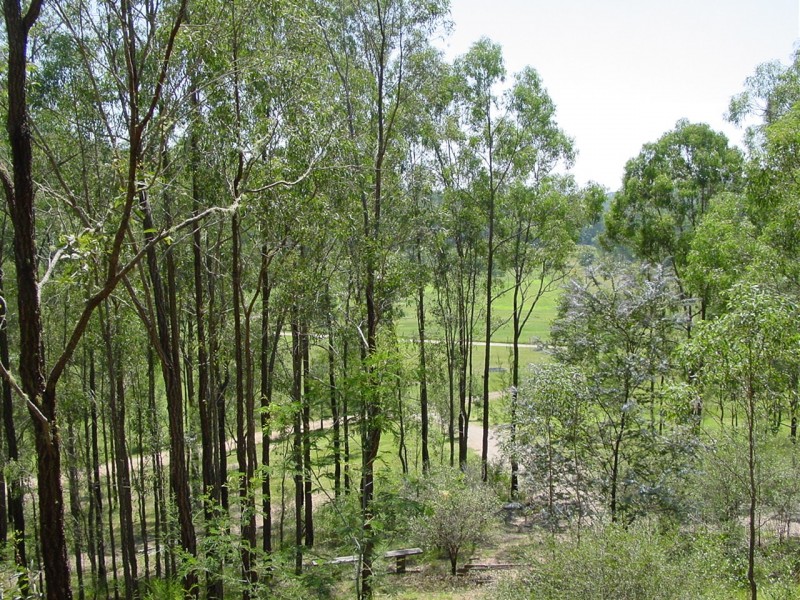 115 Blaxlands Arm Rd, Laguna NSW 2325