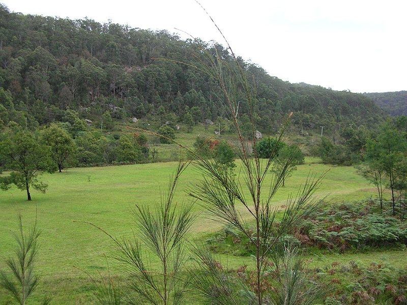 103 Bagnells Creek Road, Paynes Crossing NSW 2325