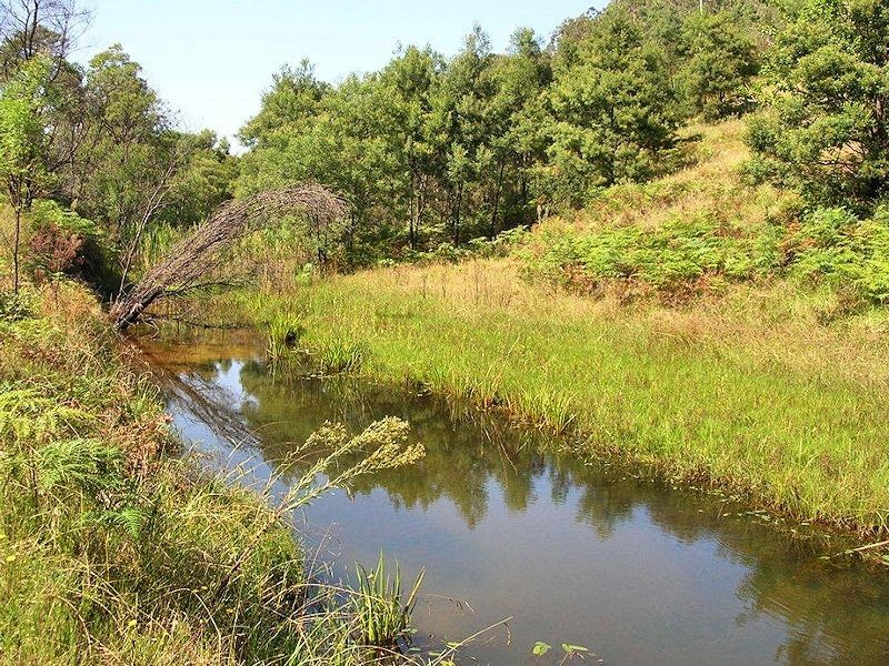 103 Bagnells Creek Road, Paynes Crossing NSW 2325