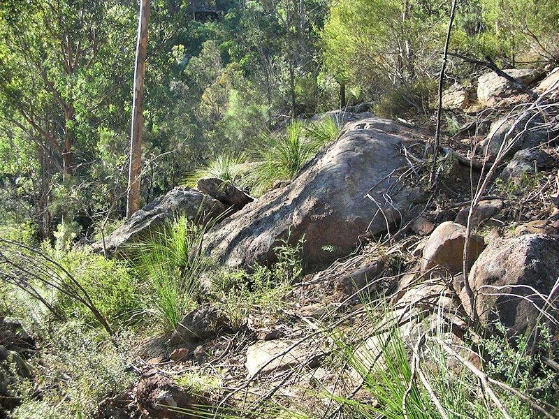 103 Bagnells Creek Road, Paynes Crossing NSW 2325