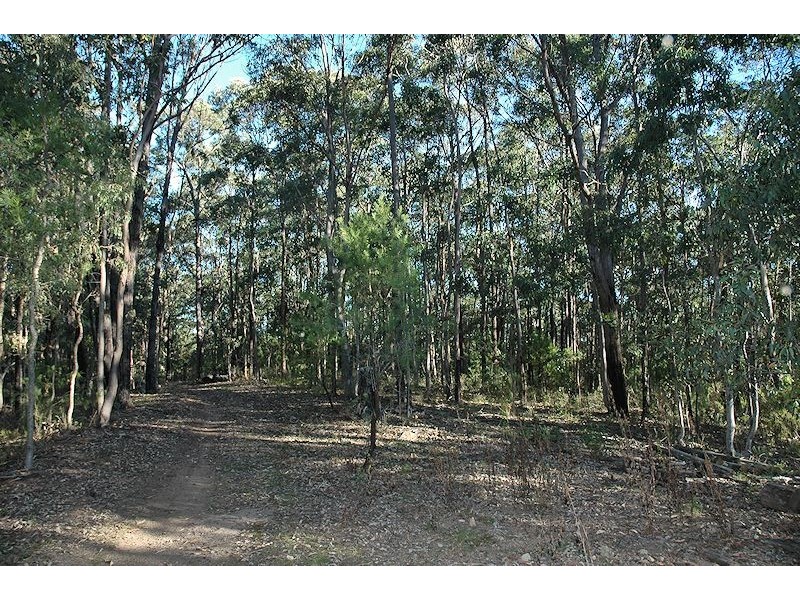 63 Budd Private Road, Cedar Creek NSW 2325