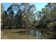 355 Moores Road, Wollombi NSW 2325