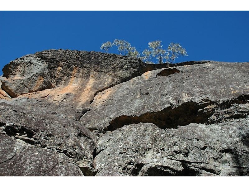 355 Moores Road, Wollombi NSW 2325