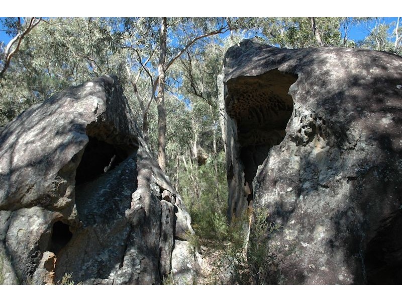 355 Moores Road, Wollombi NSW 2325