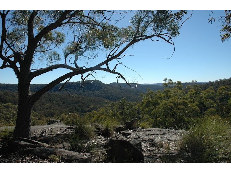 355 Moores Road, Wollombi NSW 2325