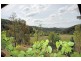 475 Yango Creek Rd, Wollombi NSW 2325