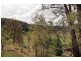 475 Yango Creek Rd, Wollombi NSW 2325