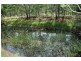 475 Yango Creek Rd, Wollombi NSW 2325