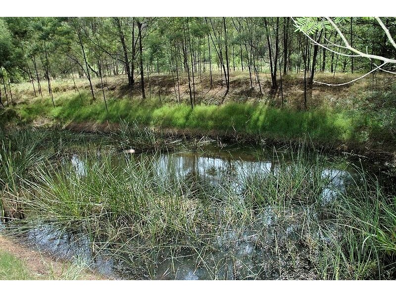 475 Yango Creek Rd, Wollombi NSW 2325