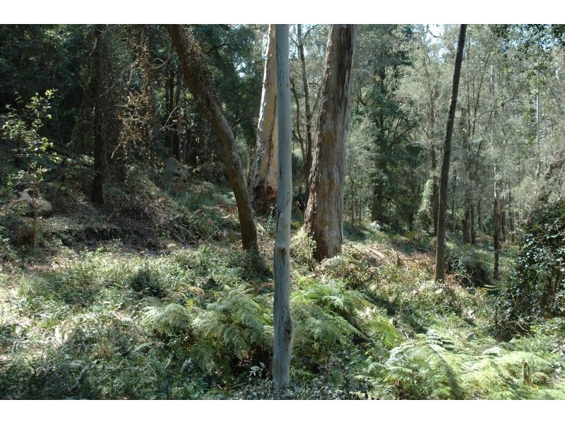 468 Milsons Arm Rd, Wollombi NSW 2325