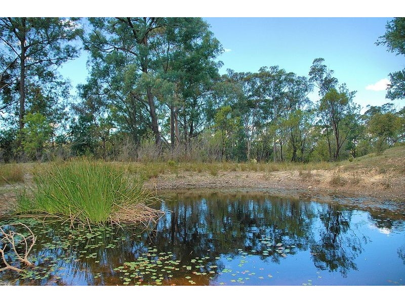 343 Budd Road, Cedar Creek NSW 2325