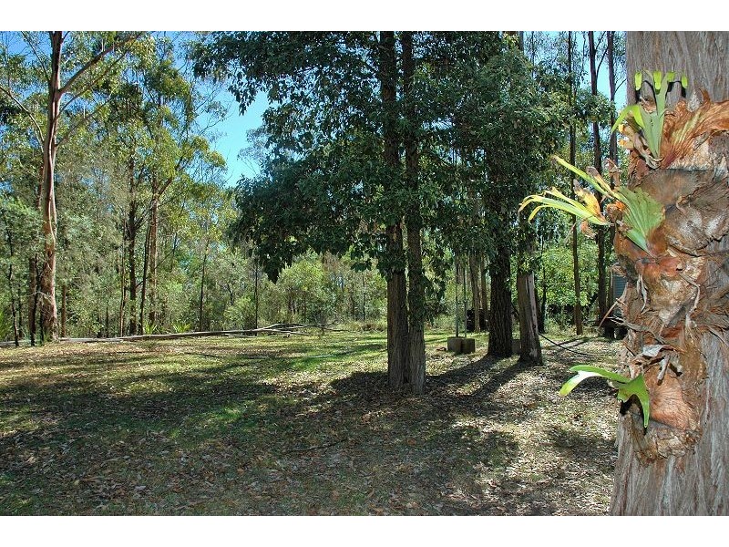 343 Budd Road, Cedar Creek NSW 2325