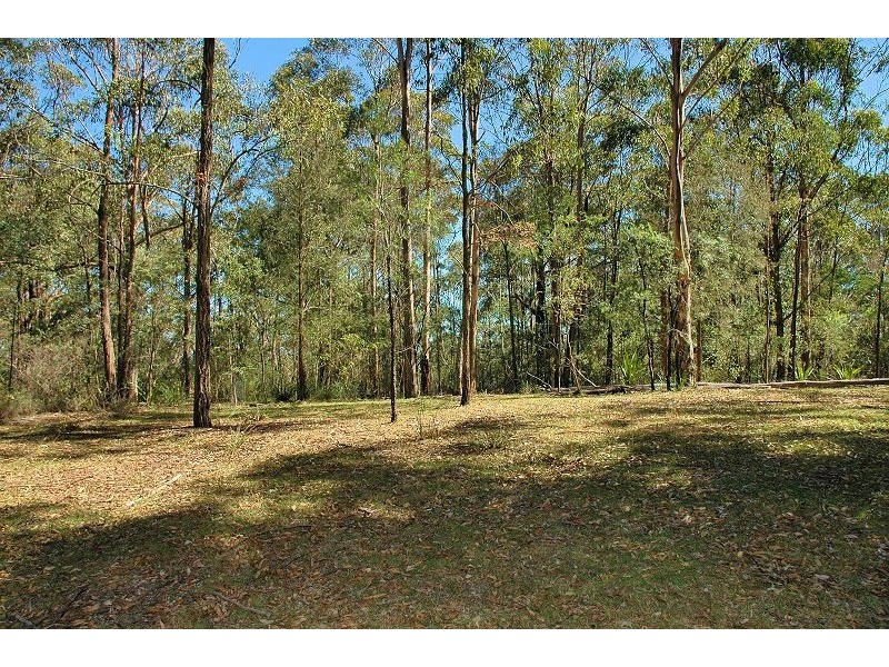 343 Budd Road, Cedar Creek NSW 2325