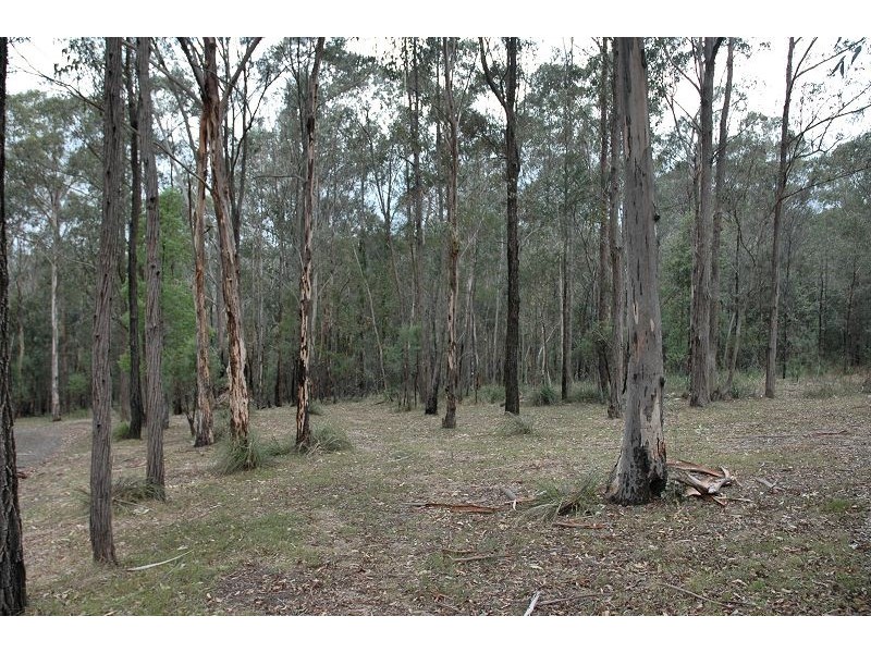 1211 Middle Ridge Road, Wollombi NSW 2325
