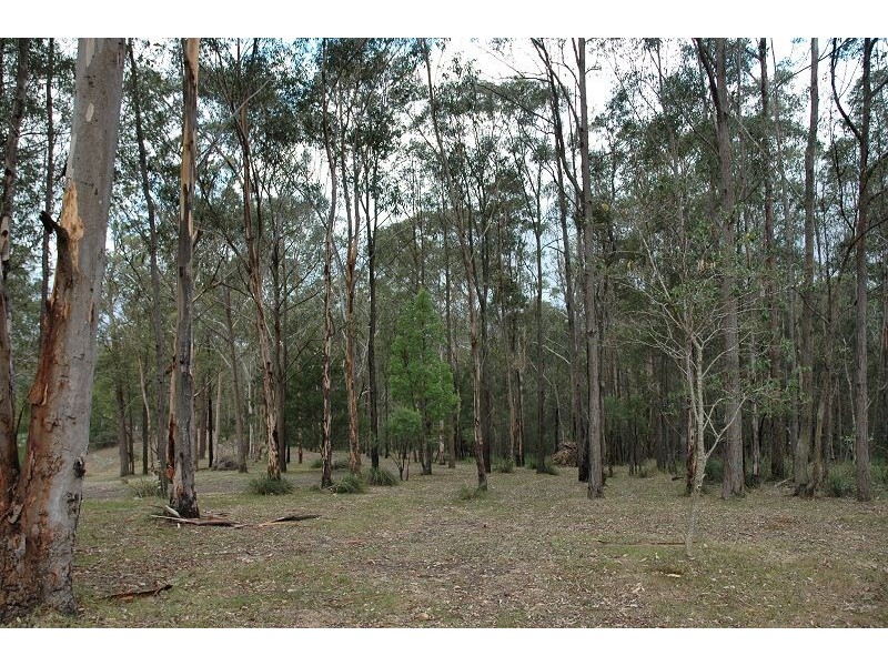 1211 Middle Ridge Road, Wollombi NSW 2325