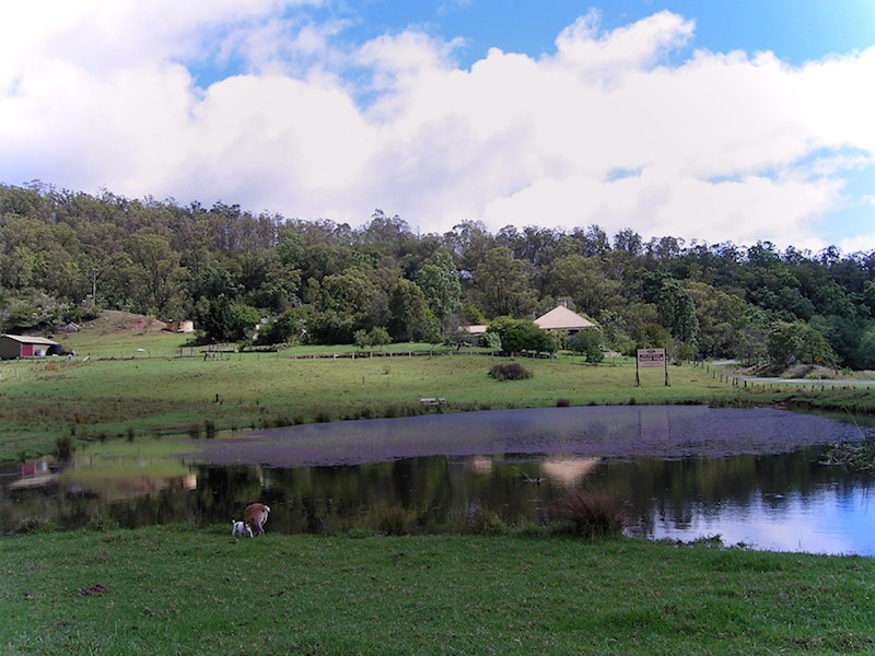 3174 Great North Road, Wollombi NSW 2325