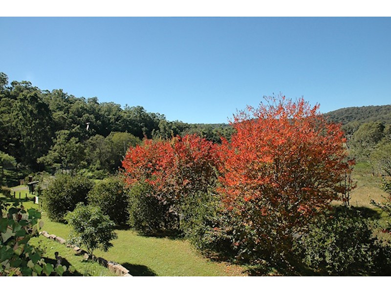 3174 Great North Road, Wollombi NSW 2325