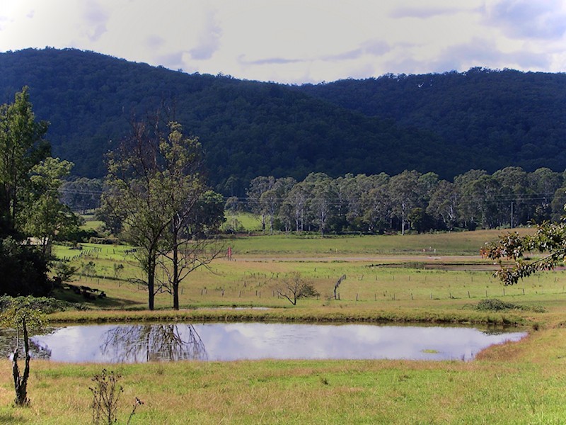 3174 Great North Road, Wollombi NSW 2325