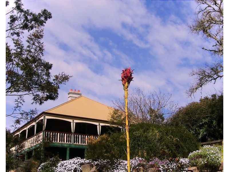 3174 Great North Road, Wollombi NSW 2325