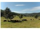 3226 Great North Rd, Wollombi NSW 2325