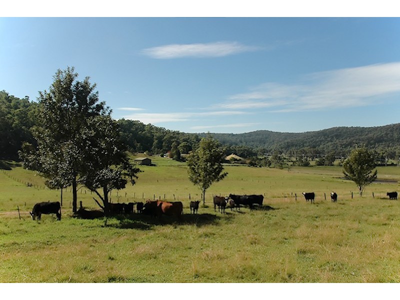 3226 Great North Rd, Wollombi NSW 2325