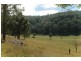 3226 Great North Rd, Wollombi NSW 2325