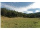 3226 Great North Rd, Wollombi NSW 2325