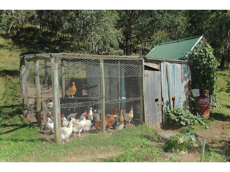 3226 Great North Rd, Wollombi NSW 2325