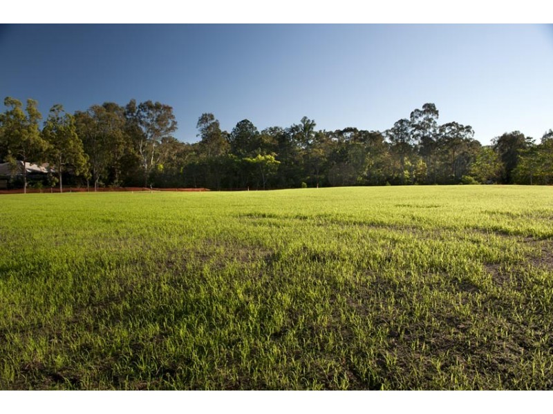 Fig Tree Pocket QLD 4069
