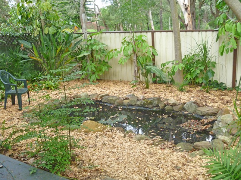 Ruse NSW 2560