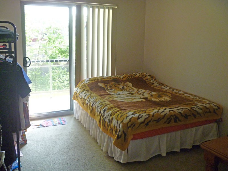 Campbelltown NSW 2560