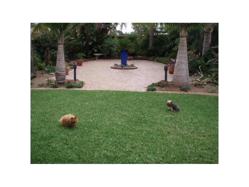 5 Drood Pl, Ambarvale NSW 2560