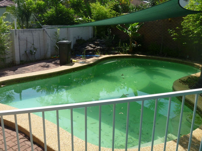 30 Tallowwood Cres, Bradbury NSW 2560