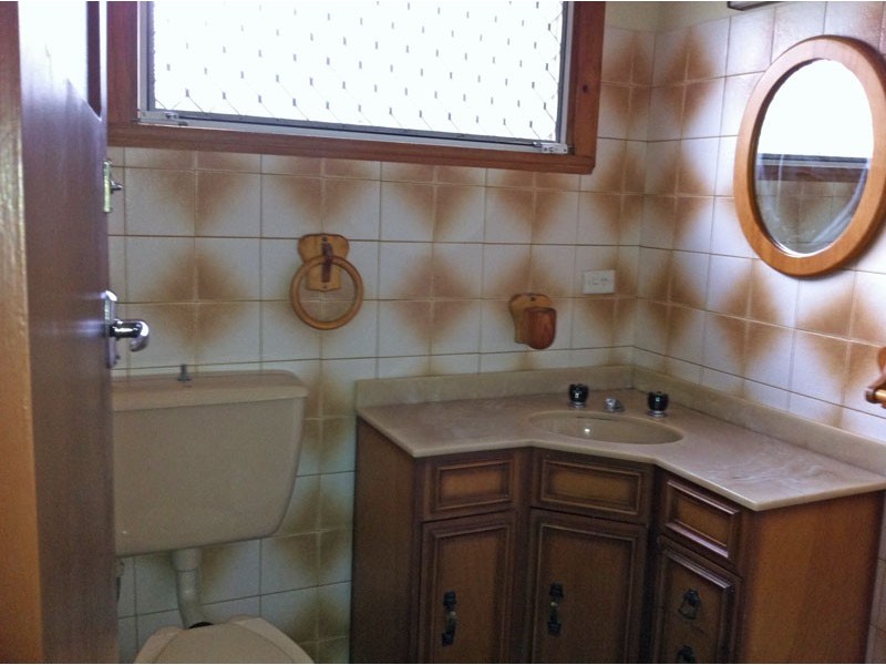 10 Palmer St, Ingleburn NSW 2565